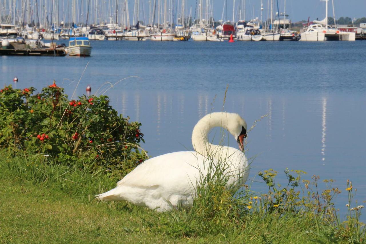 2Zi-Ferienwohnung Am Suedstrand Mit Eigenem Parkplatz Perfekt Fuer Familie Burgtiefe auf Fehmarn 外观 照片